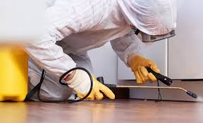 Best Real Estate Pest Inspections  in Waxahachie, TX